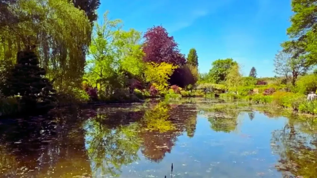 Lush weeping willows and vibrant water lilies reflected in the iconic pond at Monet's Giverny garden, France.